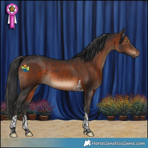 Horse Color:Brown Tobiano Rabicano 