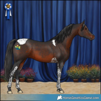 Horse Color:Brown Tobiano 