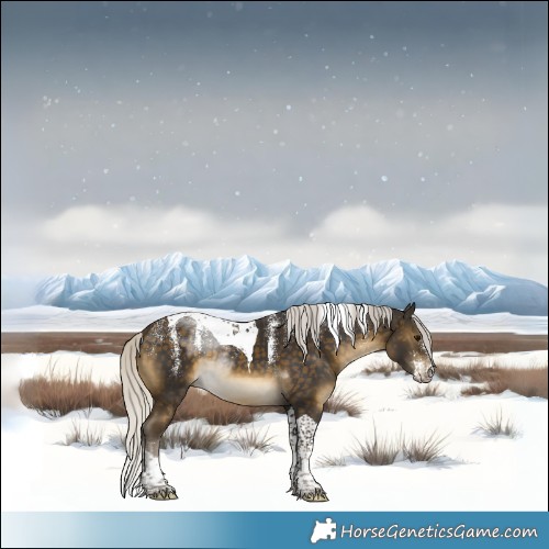 Horse Color:Powder White Silver Buckskin Tobiano 