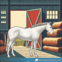 Horse Color:Buckskin Roan Pearl  and Buckskin Roan Pearl Rabicano 