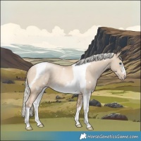 Horse Color:Chocolate Palomino Pearl Dun Tobiano Frame  and Chocolate Palomino Pearl Dun Tobiano Frame 