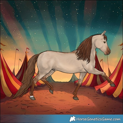 Horse Color:Red Dun 
