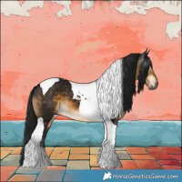 Horse Color:Gray Buckskin Tobiano 