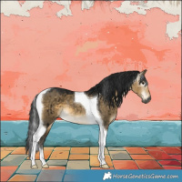 Horse Color:Gray Buckskin Dun Tobiano Brindle