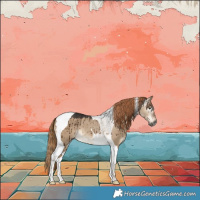 Horse Color:Gray Liver Red Dun Tobiano Brindle 