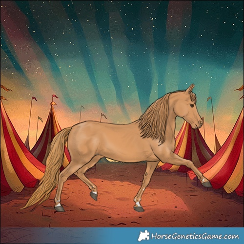 Horse Color:Chestnut Rabicano