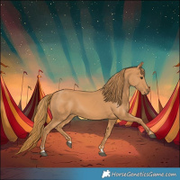 Horse Color:Chestnut Rabicano 
