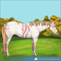 Horse Color:Buckskin Roan Pearl  and Buckskin Roan Pearl Splash 