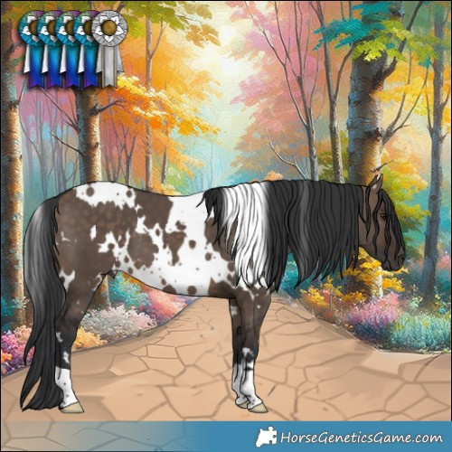 Horse Color:White Spotted Brown Dun 