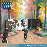 Horse Color:White Spotted Brown Dun 