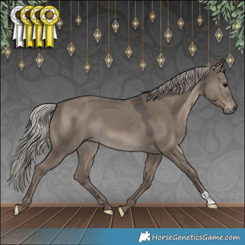 Horse Color:Silver Grullo