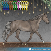 Horse Color:Silver Grullo 
