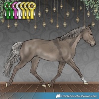 Horse Color:Silver Grullo 