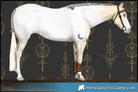 Horse Color:Palomino Pearl Near Fewspot