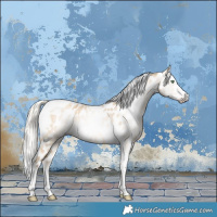 Horse Color:Gray Silver Amber Cream Champagne Roan Dun Splash Tobiano Frame Near Leopard Rabicano 