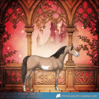 Horse Color:Amber Champagne Frame 