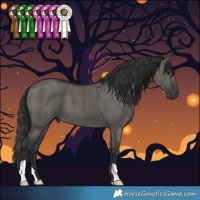 Horse Color:Grullo Brindle