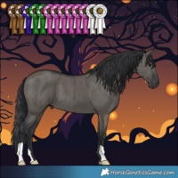 Horse Color:Grullo Brindle 