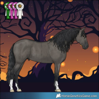 Horse Color:Grullo Brindle