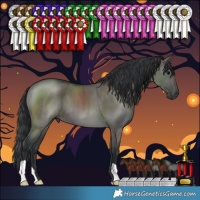 Horse Color:Grullo Brindle 