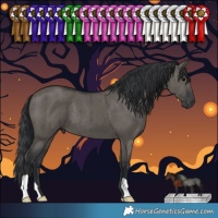 Horse Color:Grullo Brindle