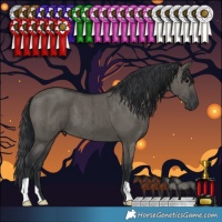 Horse Color:Grullo Brindle