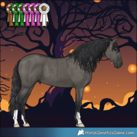 Horse Color:Grullo Brindle 