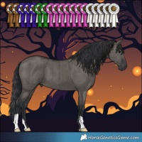 Horse Color:Grullo Brindle 