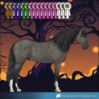 Horse Color:Grullo Brindle 