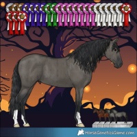 Horse Color:Grullo Brindle 