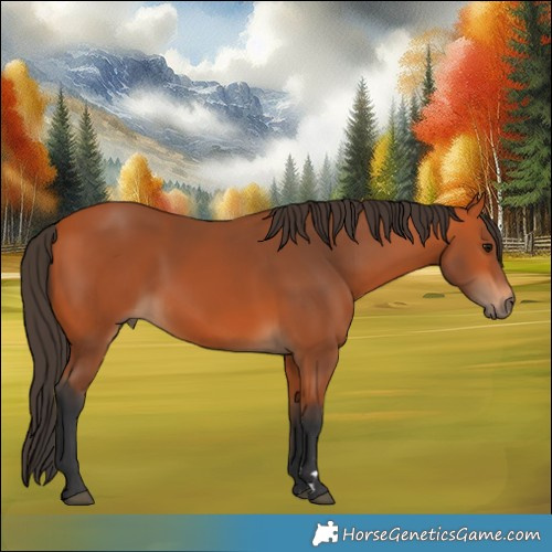 Horse Color:Bay Rabicano 