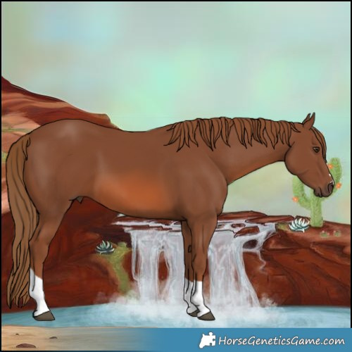 Horse Color:Chestnut Tobiano 