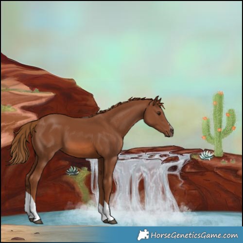 Horse Color:Chestnut Tobiano