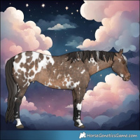 Horse Color:White Spotted Brown Dun Blanket Rabicano