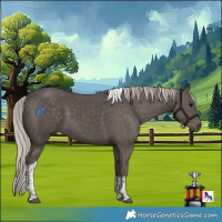 Horse Color:Silver Black Tobiano 
