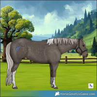 Horse Color:Silver Black Tobiano 
