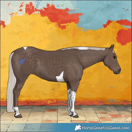 Horse Color:Silver Black Tobiano 