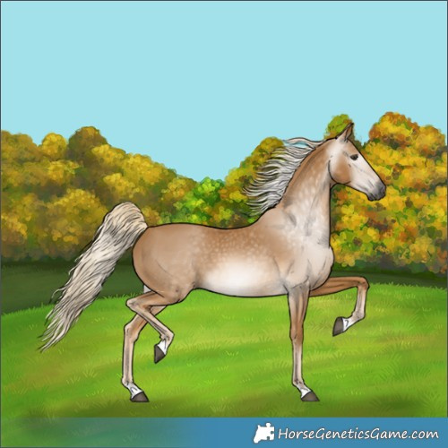 Horse Color:Gray Palomino 