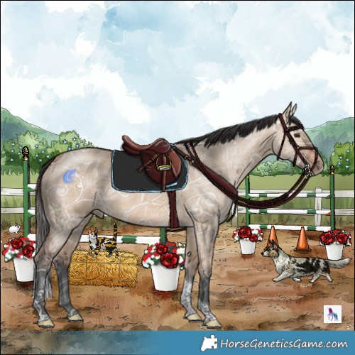 Horse Color:Bay Ice Dun Tobiano 