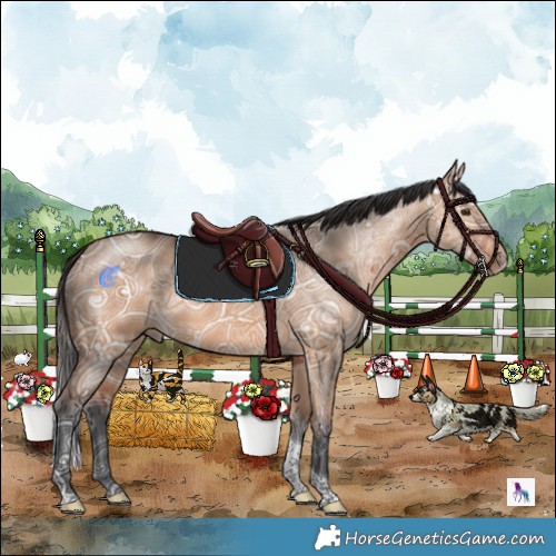 Horse Color:Bay Ice Dun Tobiano 