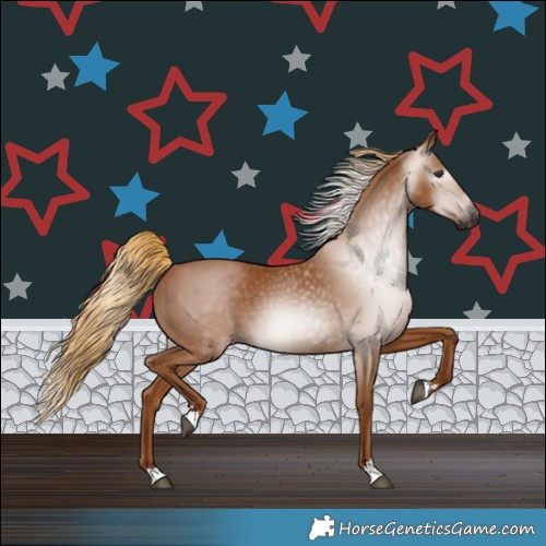 Horse Color:Gray Chestnut 