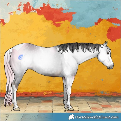 Horse Color:Gray Liver Chestnut Tobiano 