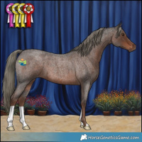 Horse Color:Liver Red Roan Mushroom