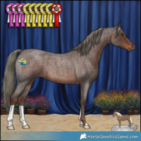 Horse Color:Liver Red Roan Mushroom 