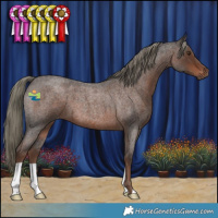 Horse Color:Liver Red Roan Mushroom 