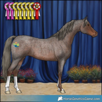Horse Color:Liver Red Roan Mushroom 