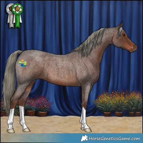 Horse Color:Liver Red Roan Mushroom 
