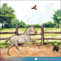 Horse Color:Chocolate Palomino Roan Dun