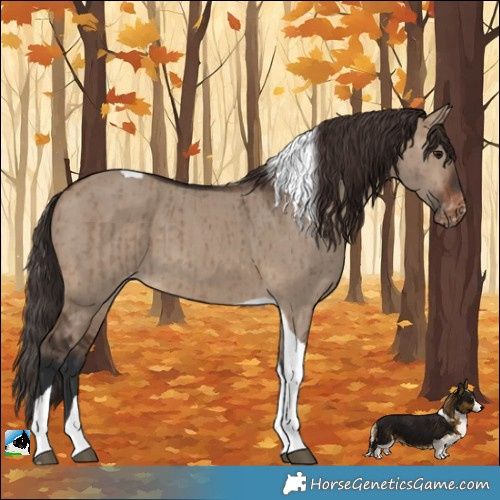 Horse Color:Brown Dun Tobiano Varnish Brindle