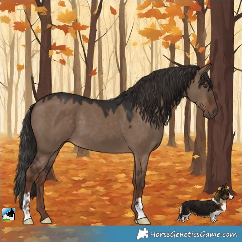 Horse Color:Liver Red Dun